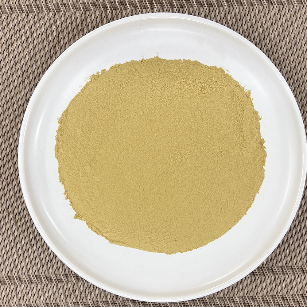 Hydrolyzed Chicken Poeder 55:---Functional Protein for Gut Health