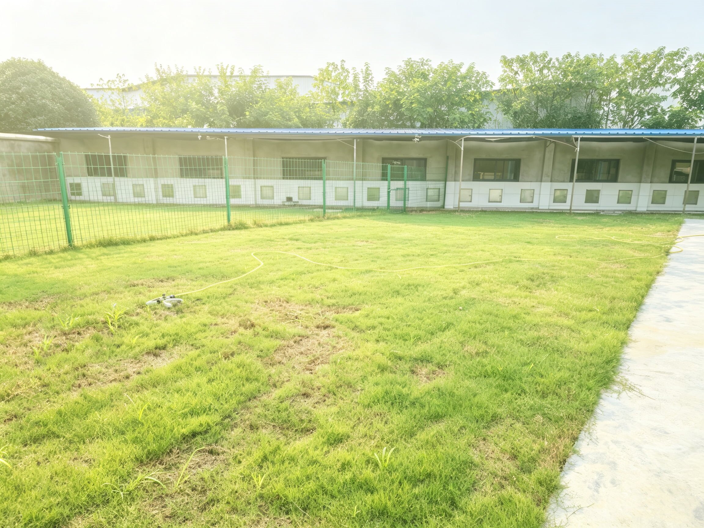图片美化建议 (1).jpg