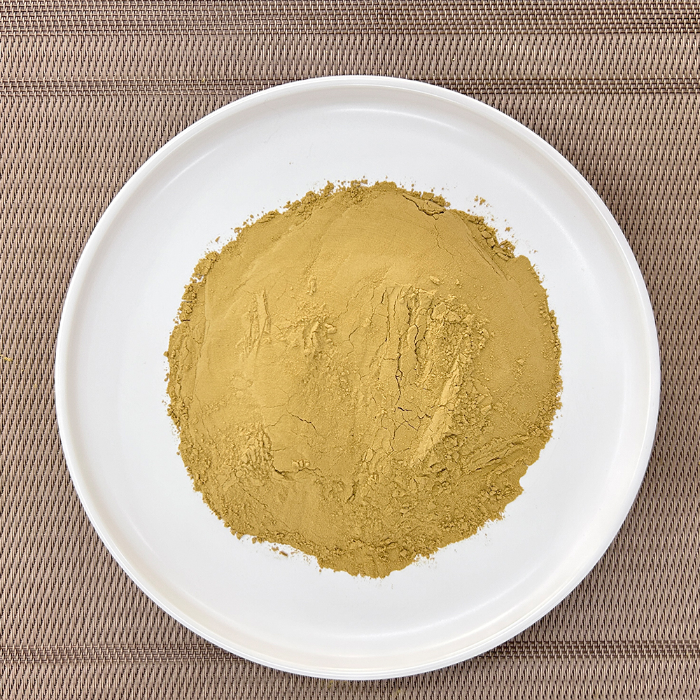 Pet Food Coating Process